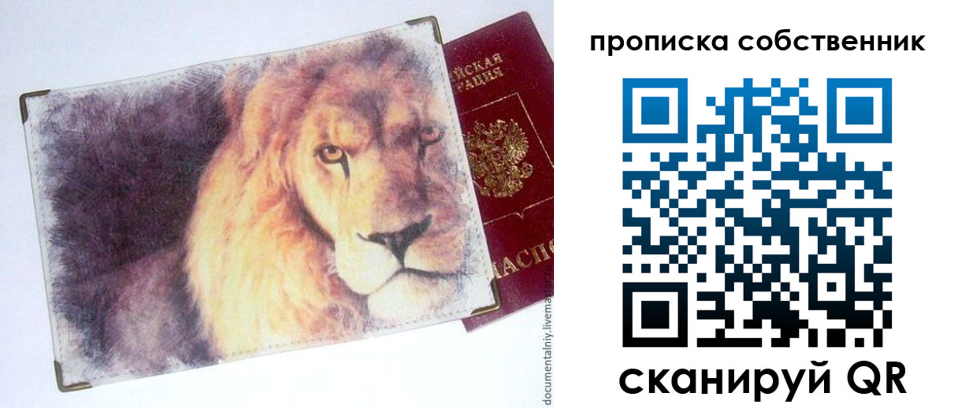 временная прописка в Могочи
